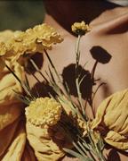 Money Frequency™ et Neuro Reset™